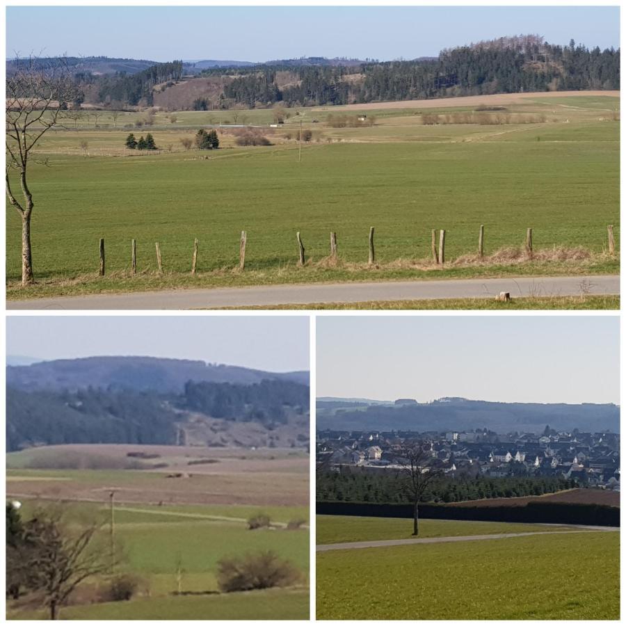 Parkblick *