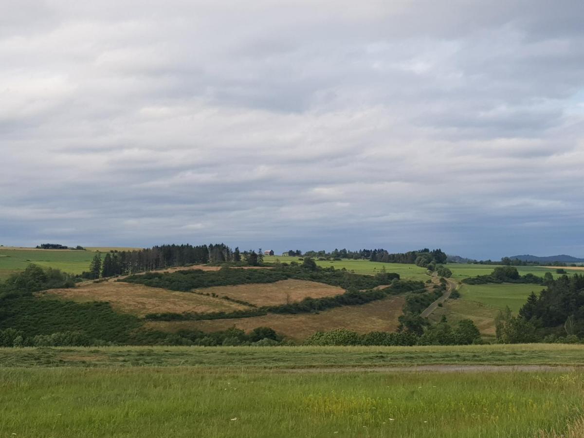 Parkblick