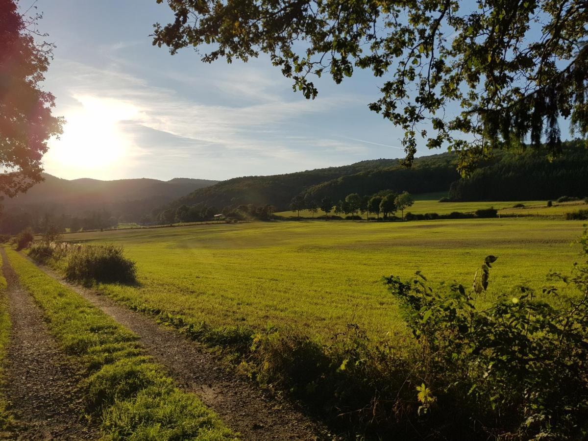 Parkblick