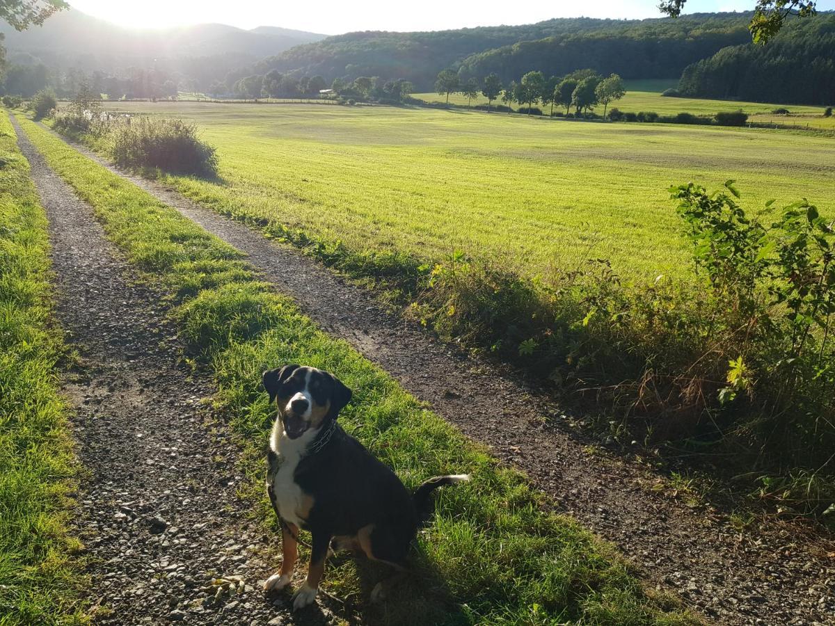 Parkblick