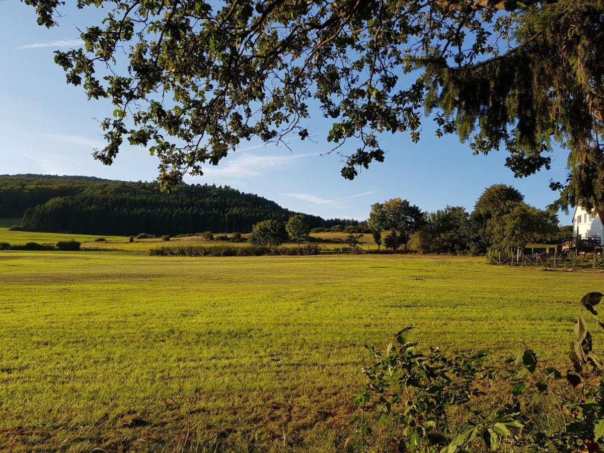 Parkblick